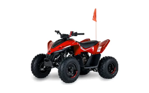 CFMOTO CFORCE 110