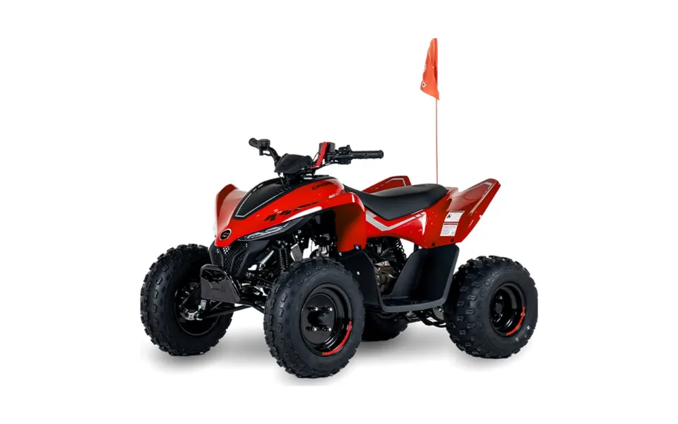 CFMOTO CFORCE 110